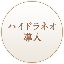 ハイドラネオ導入